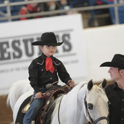 2012 Scottsdale Show Photos | Kidder Equine
