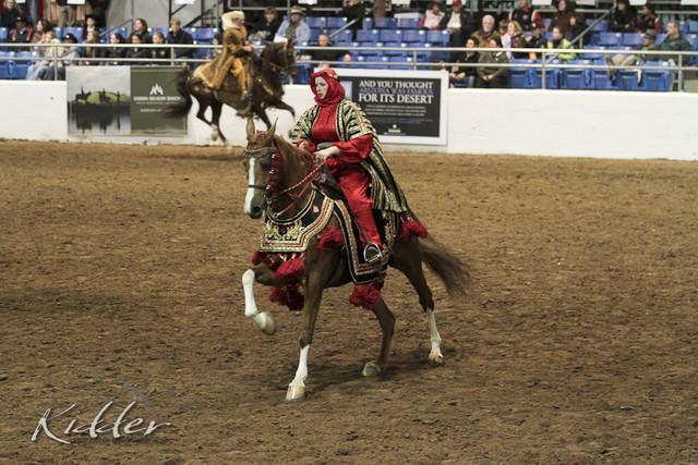 2012 Scottsdale Show Photos | Kidder Equine