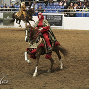 2012 Scottsdale Show Photos | Kidder Equine