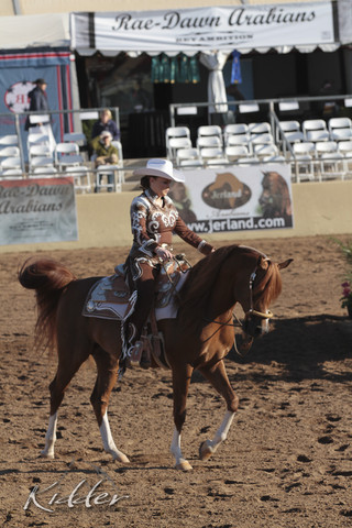 2012 Scottsdale Show Photos | Kidder Equine