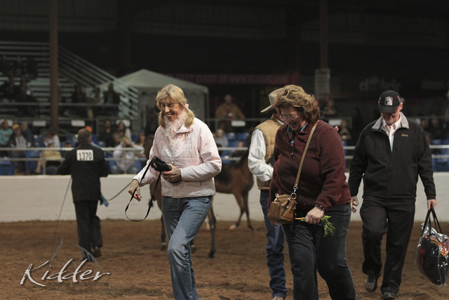 2012 Scottsdale Show Photos | Kidder Equine