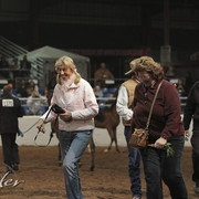 2012 Scottsdale Show Photos | Kidder Equine