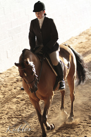 2012 Scottsdale Show Photos | Kidder Equine