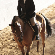 2012 Scottsdale Show Photos | Kidder Equine