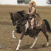 2012 Scottsdale Show Photos | Kidder Equine