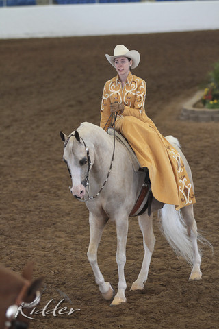 2012 Scottsdale Show Photos | Kidder Equine