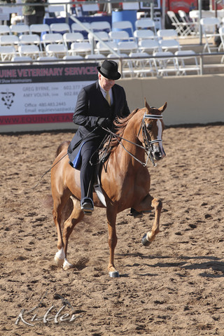 2012 Scottsdale Show Photos | Kidder Equine