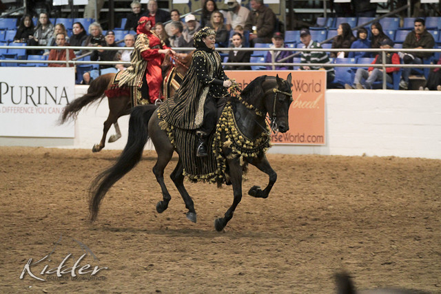2012 Scottsdale Show Photos | Kidder Equine