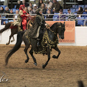 2012 Scottsdale Show Photos | Kidder Equine
