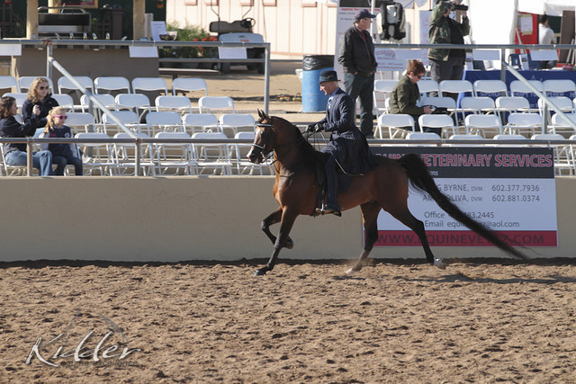 2012 Scottsdale Show Photos | Kidder Equine