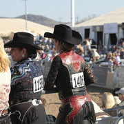 2012 Scottsdale Show Photos | Kidder Equine