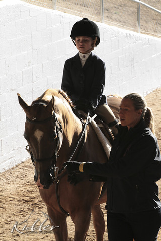 2012 Scottsdale Show Photos | Kidder Equine