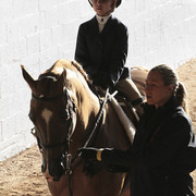 2012 Scottsdale Show Photos | Kidder Equine