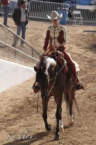 2012 Scottsdale Show Photos | Kidder Equine