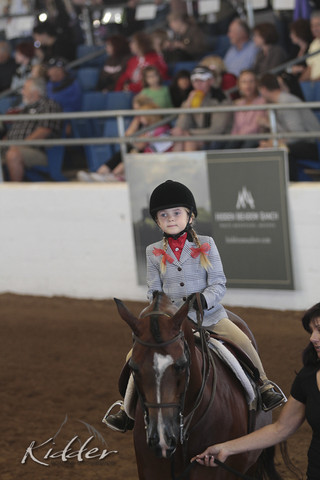 2012 Scottsdale Show Photos | Kidder Equine