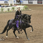 2012 Scottsdale Show Photos | Kidder Equine