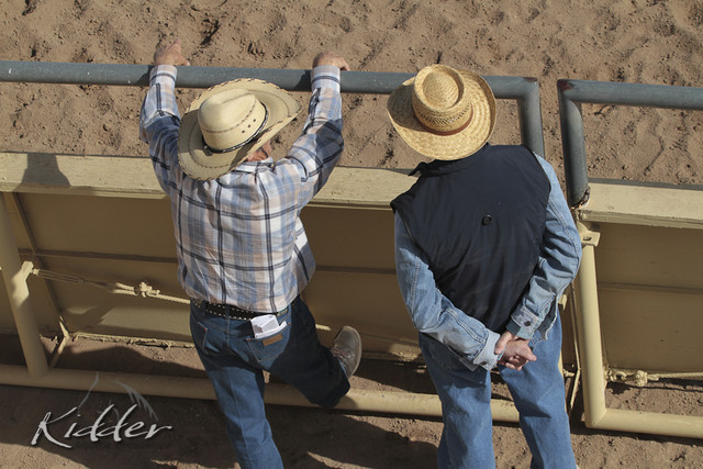 2012 Scottsdale Show Photos | Kidder Equine