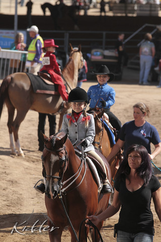 2012 Scottsdale Show Photos | Kidder Equine