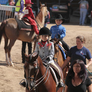 2012 Scottsdale Show Photos | Kidder Equine
