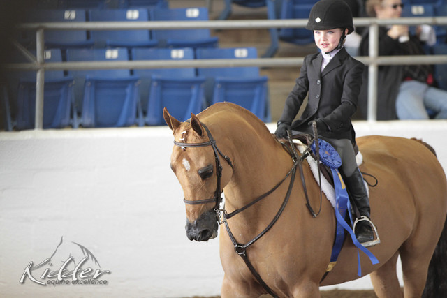 2012 Scottsdale Show Photos | Kidder Equine