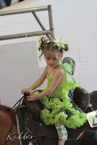 2012 Scottsdale Show Photos | Kidder Equine