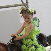 2012 Scottsdale Show Photos | Kidder Equine