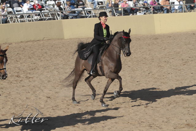 2012 Scottsdale Show Photos | Kidder Equine