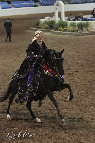 2012 Scottsdale Show Photos | Kidder Equine