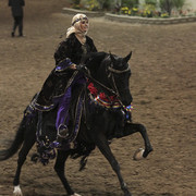 2012 Scottsdale Show Photos | Kidder Equine