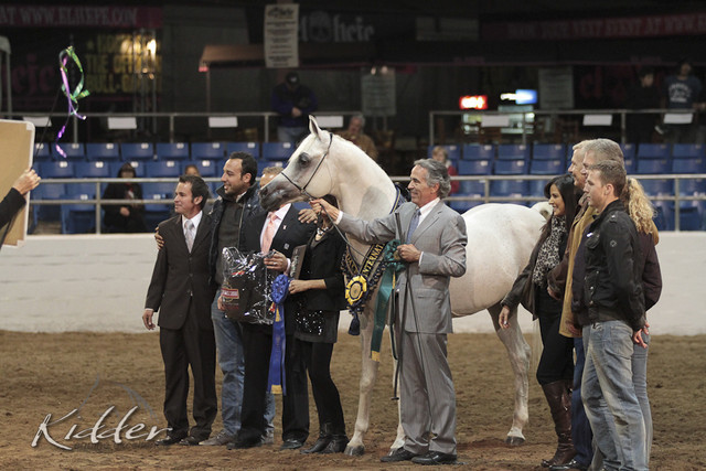 2012 Scottsdale Show Photos | Kidder Equine