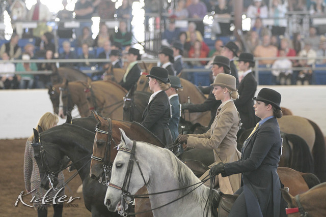 2012 Scottsdale Show Photos | Kidder Equine