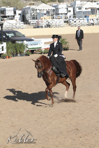 2012 Scottsdale Show Photos | Kidder Equine