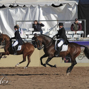 2012 Scottsdale Show Photos | Kidder Equine