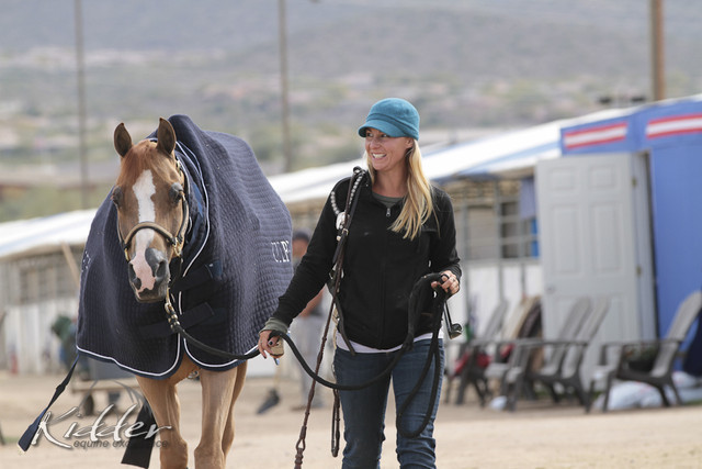 2012 Scottsdale Show Photos | Kidder Equine