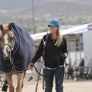 2012 Scottsdale Show Photos | Kidder Equine