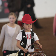 2012 Scottsdale Show Photos | Kidder Equine
