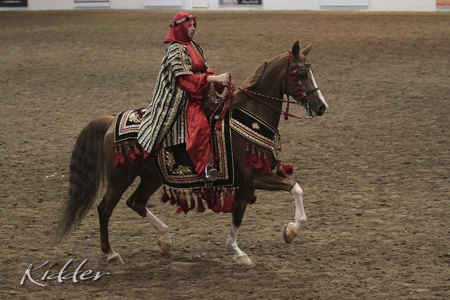 2012 Scottsdale Show Photos | Kidder Equine