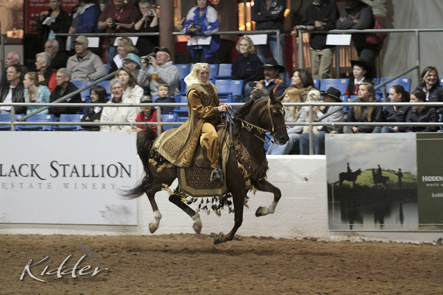 2012 Scottsdale Show Photos | Kidder Equine