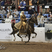 2012 Scottsdale Show Photos | Kidder Equine