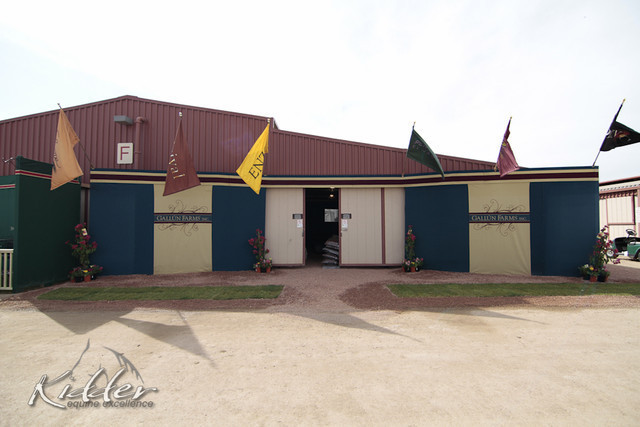 2012 Scottsdale Show Photos | Kidder Equine