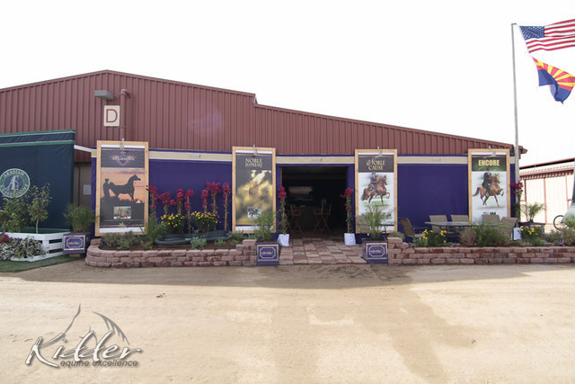 2012 Scottsdale Show Photos | Kidder Equine
