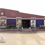 2012 Scottsdale Show Photos | Kidder Equine