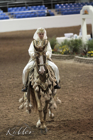 2012 Scottsdale Show Photos | Kidder Equine