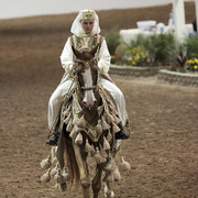 2012 Scottsdale Show Photos | Kidder Equine