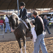 2012 Scottsdale Show Photos | Kidder Equine