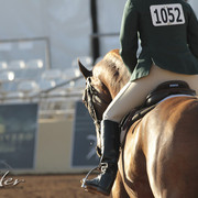 2012 Scottsdale Show Photos | Kidder Equine