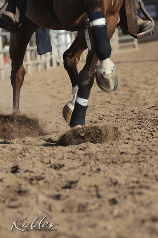 2012 Scottsdale Show Photos | Kidder Equine