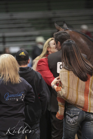2012 Scottsdale Show Photos | Kidder Equine