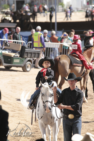 2012 Scottsdale Show Photos | Kidder Equine