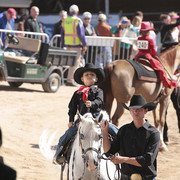 2012 Scottsdale Show Photos | Kidder Equine